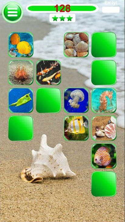 Damla Memory gameplay screenshot 5 of 5